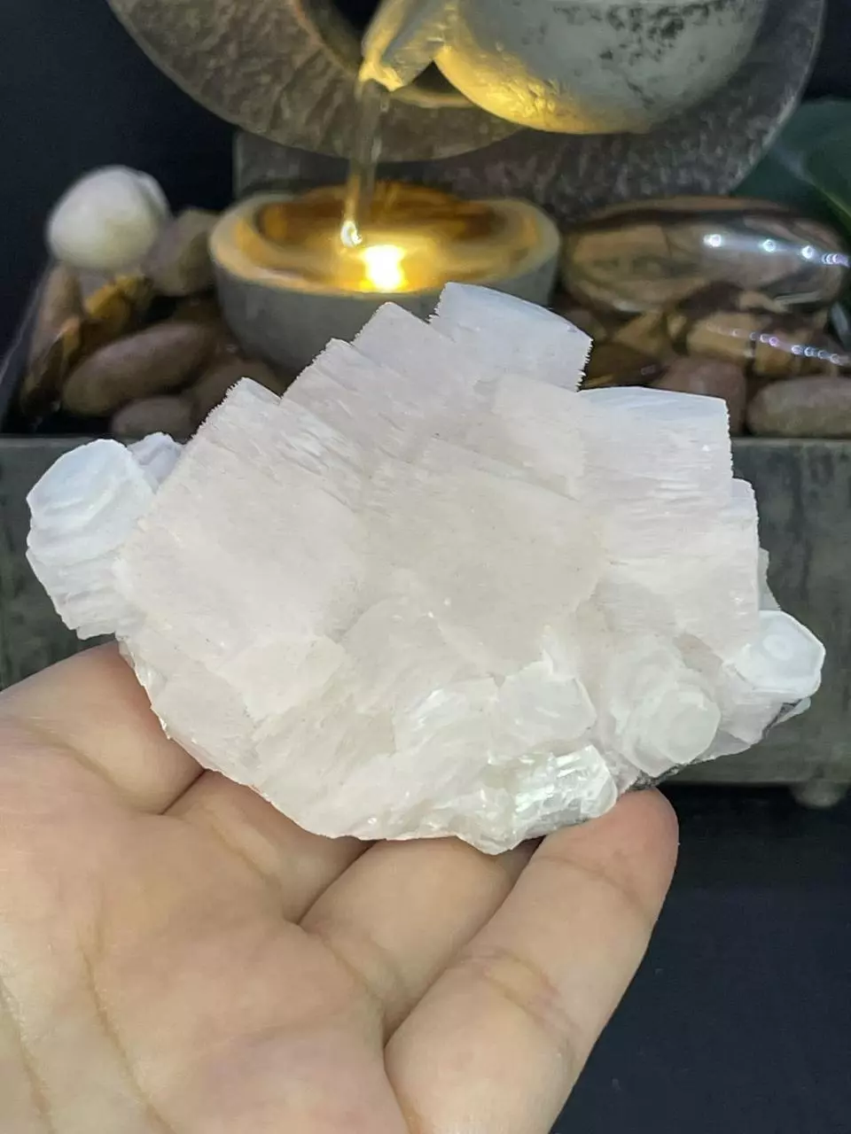 Pink Coin Calcite #12 thumbnail