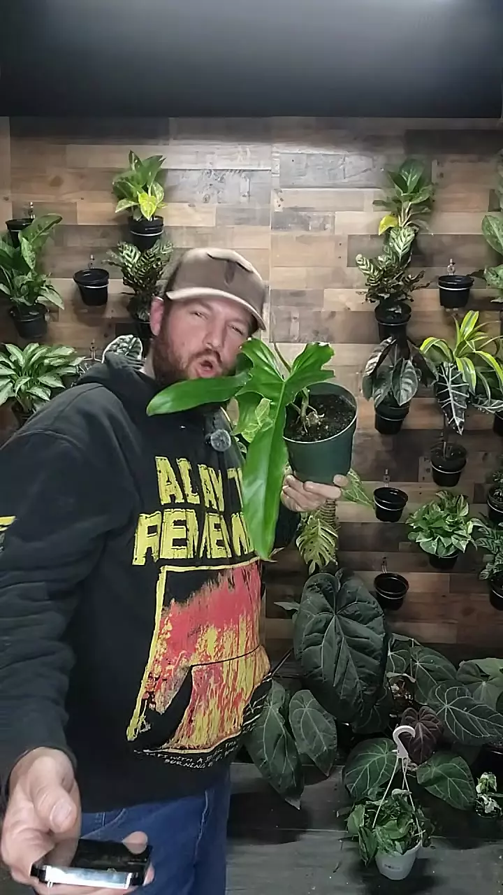 belle isle thumbnail