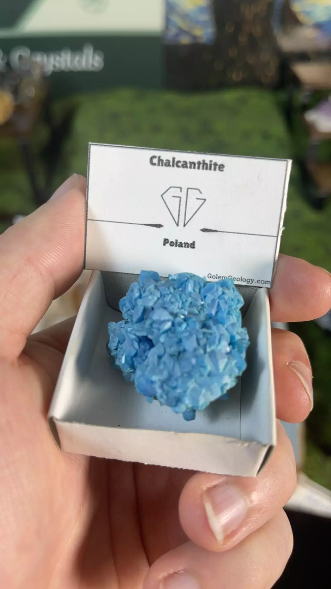Chalcanthite, Lab Grown, Poland thumbnail