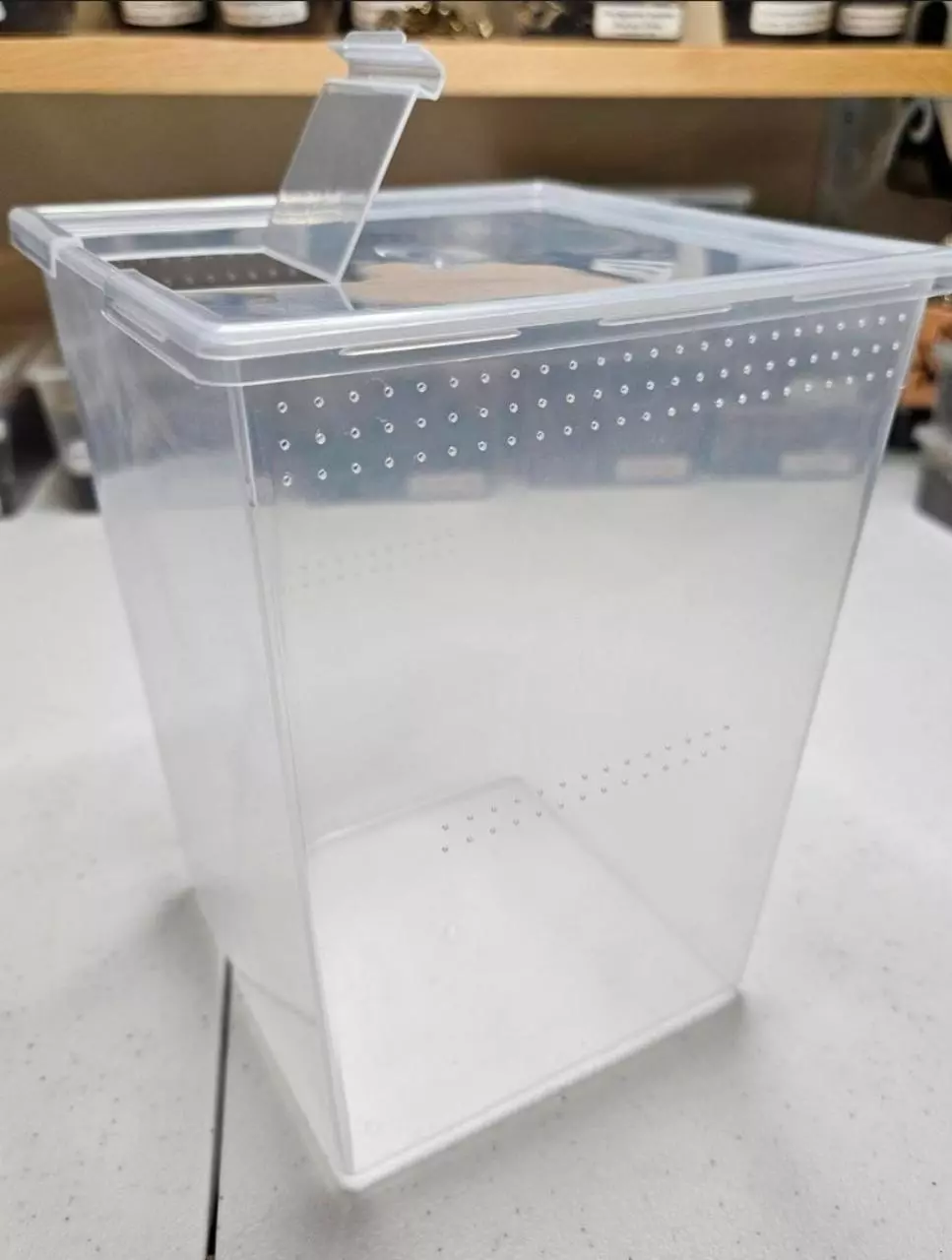 3-PACK Enclosure only LG arboreal/ semi-arboreal juvenile thumbnail