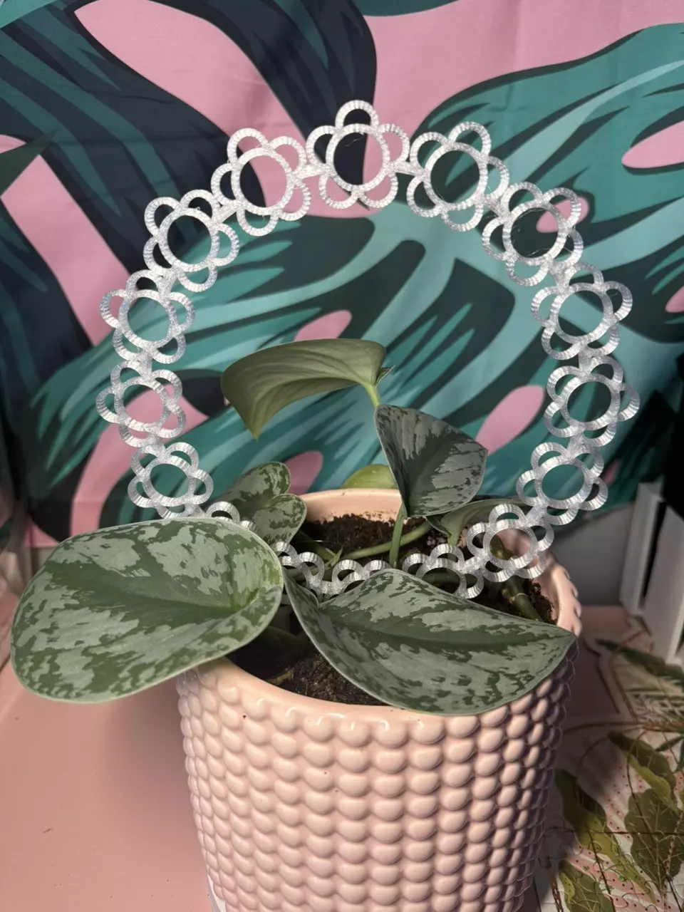 Daisy Chain Trellis | 3d printed | Choose your color thumbnail