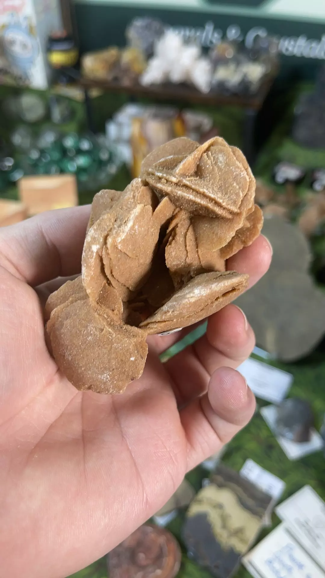 Desert Barite Rose, Morocco thumbnail