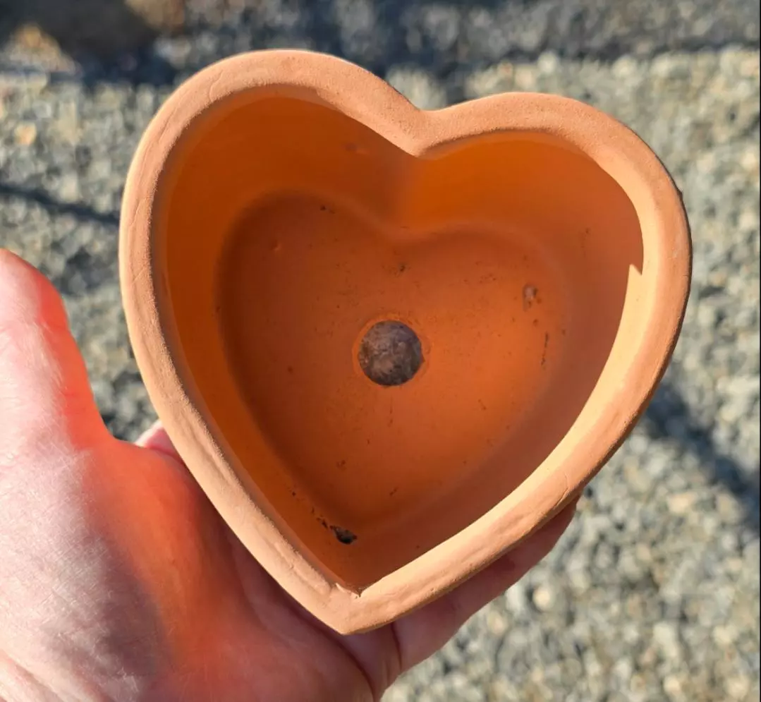 Terracotta Heart Pot thumbnail