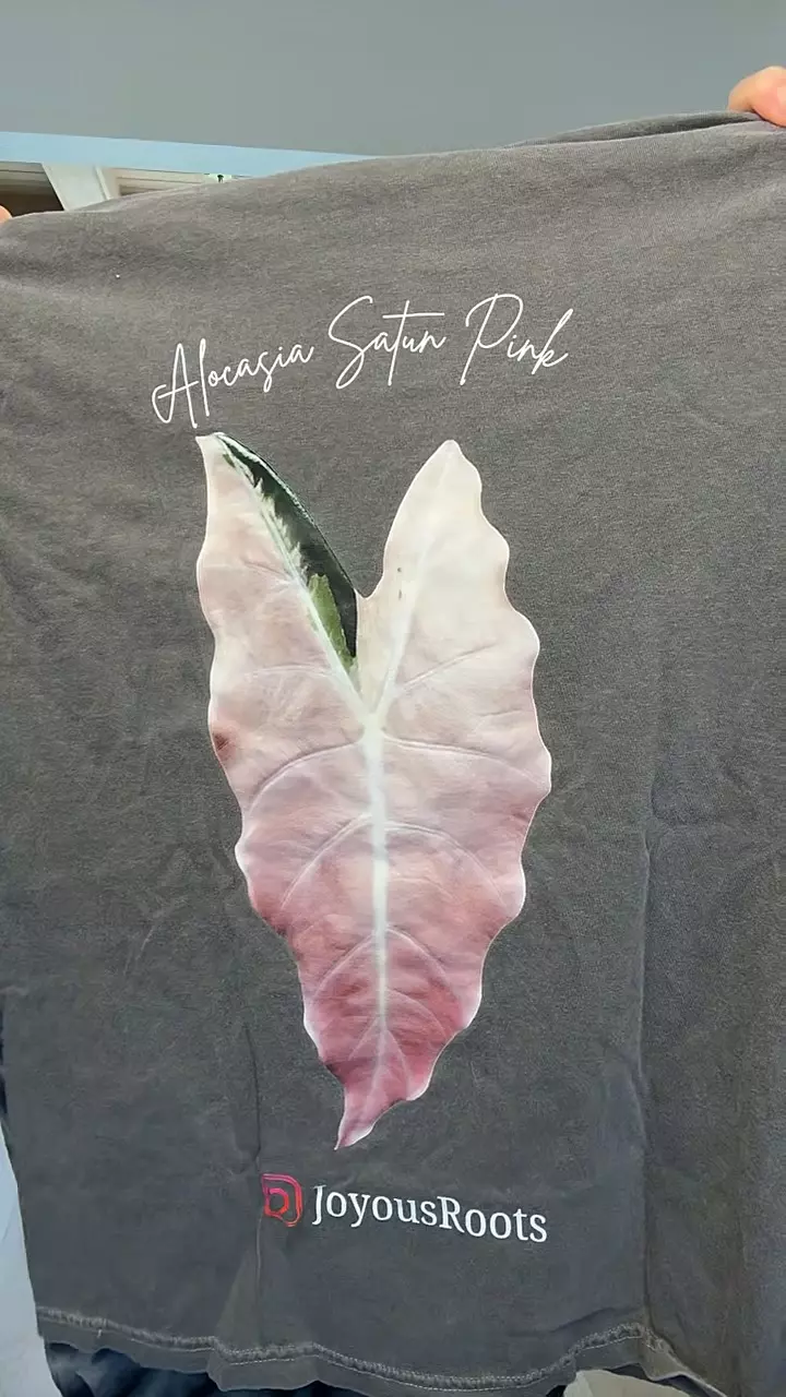 XL - Satun JR shirt thumbnail