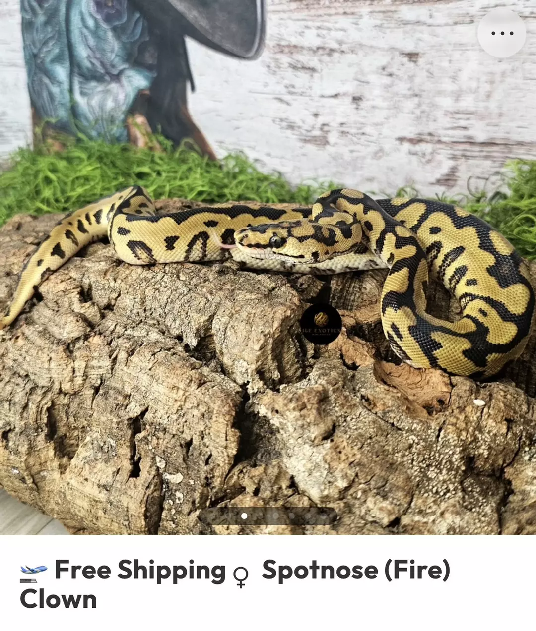 SN (FIRE) CLOWN F B1 thumbnail