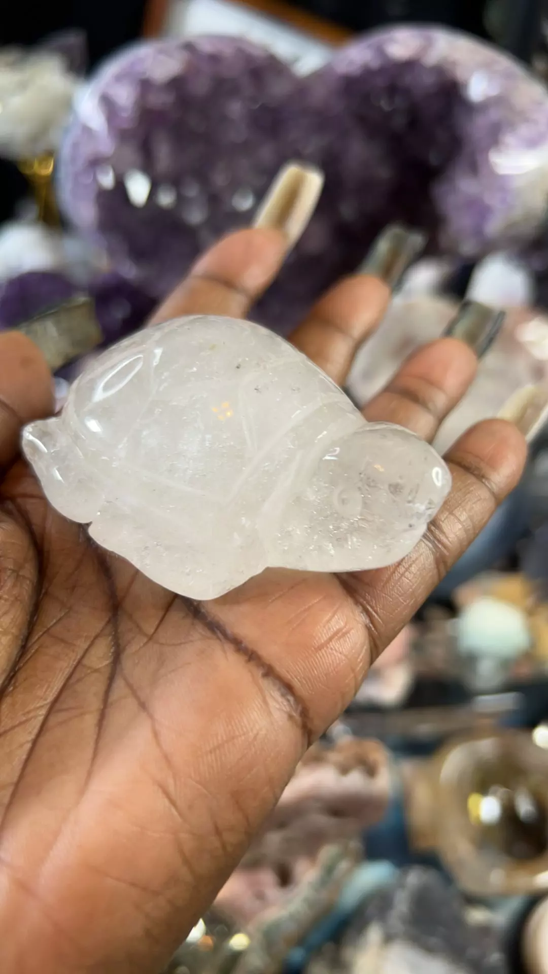 Lodolite Gsrden Quartz turtle thumbnail