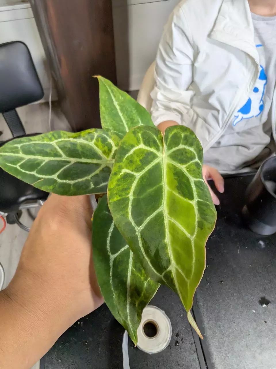 76 Michelle self thumbnail