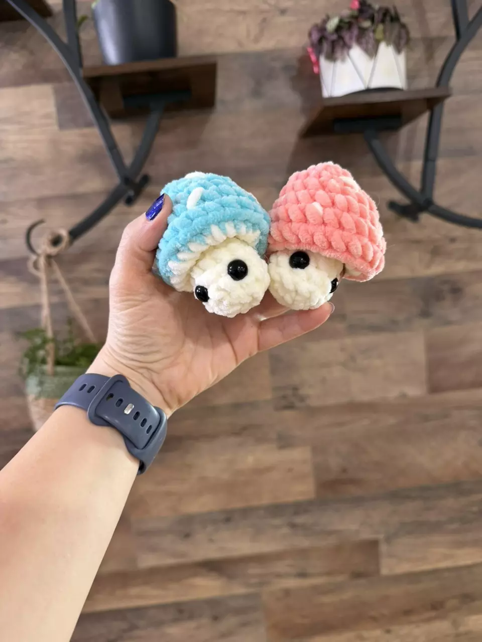 Mushy Pops thumbnail