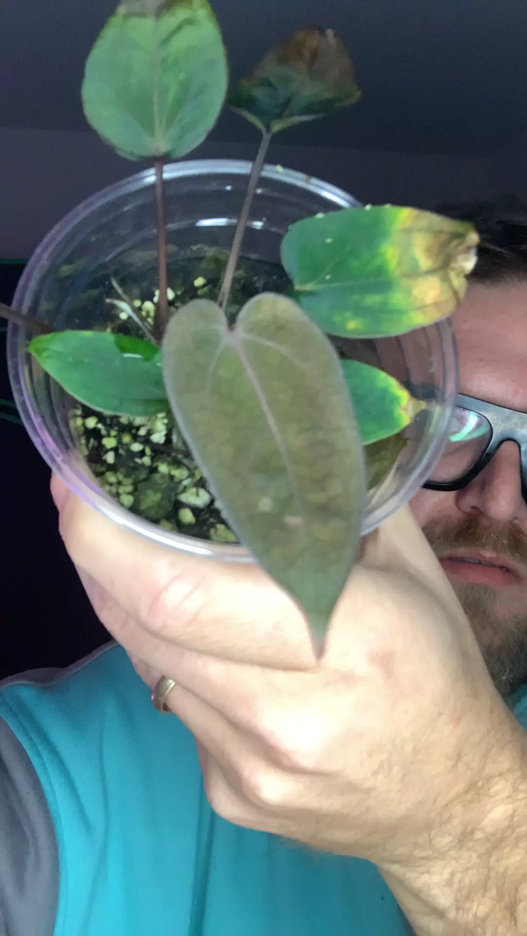 joc x bvep thumbnail