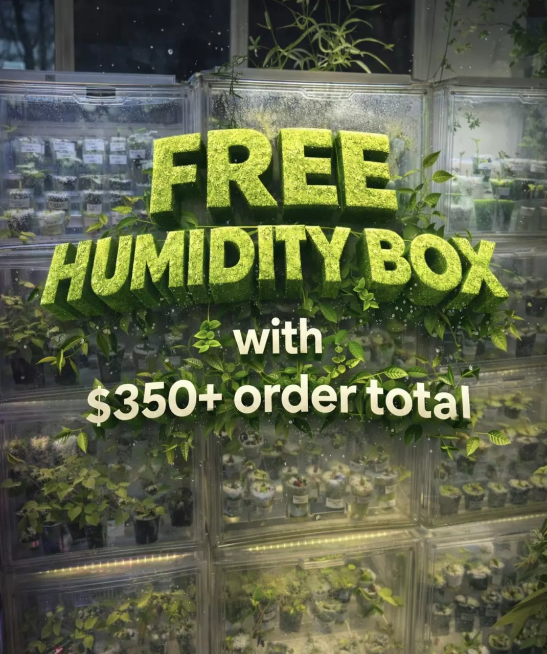 FREE HUMIDITY BOX WITH $350+ ORDER thumbnail