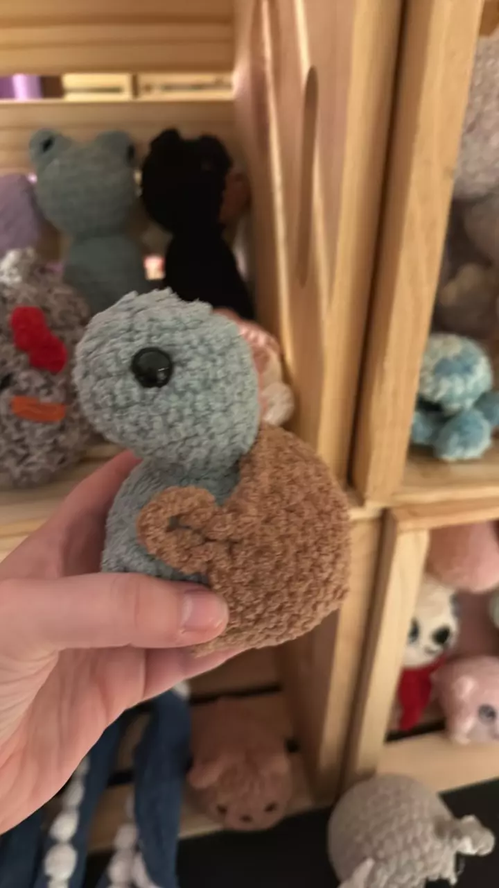 cheeky turtle made to order thumbnail