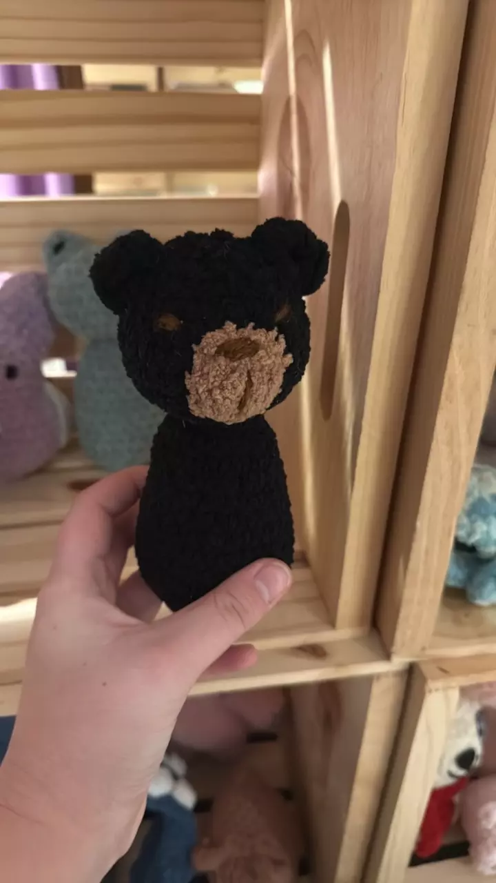 Bear thumbnail