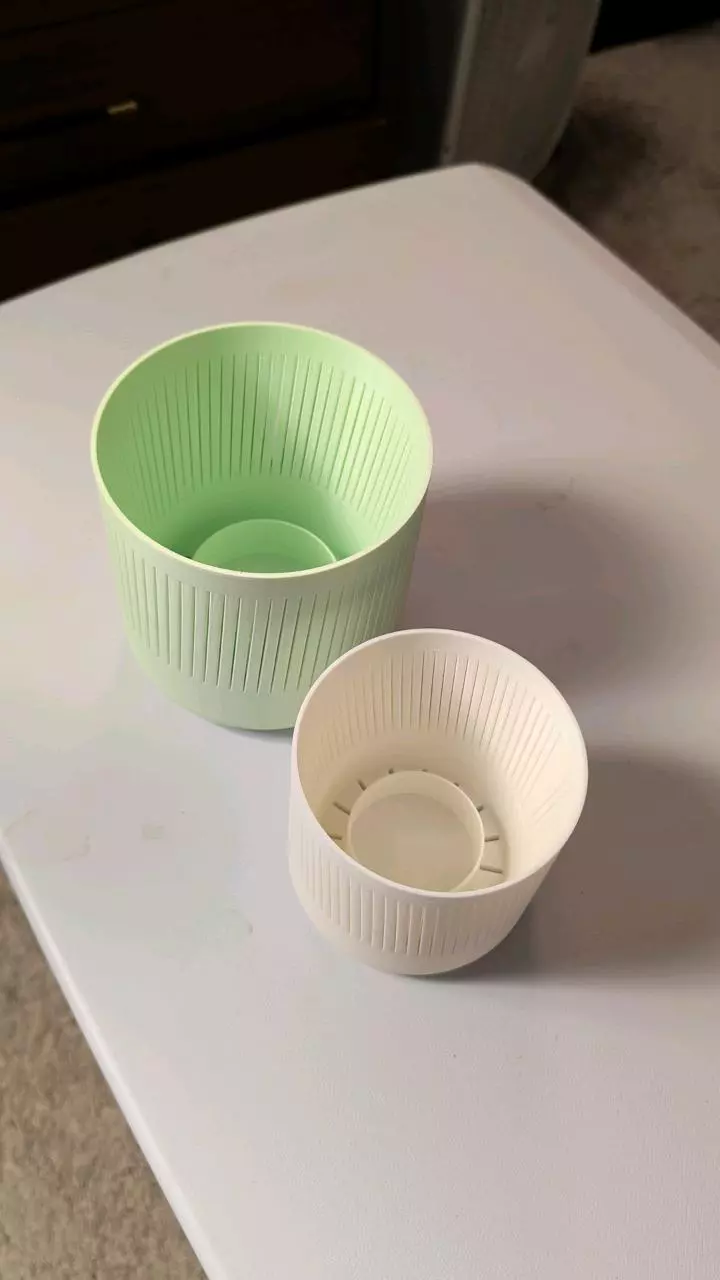 the 'What shall we call it'  4 inch pot thumbnail