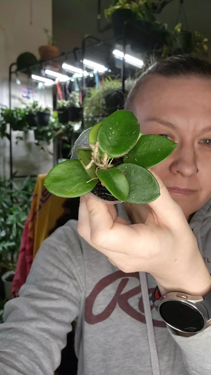 0265 chouke thumbnail