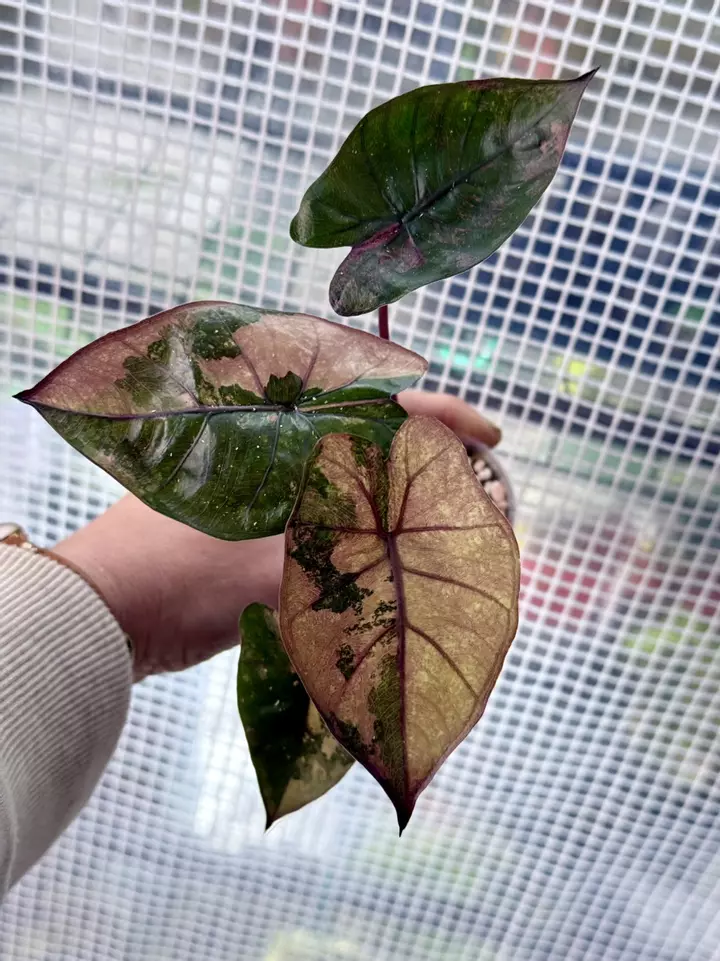 Bookmark!! ❤️❤️