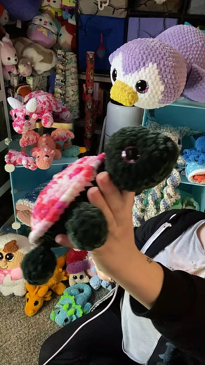 pink turtle thumbnail