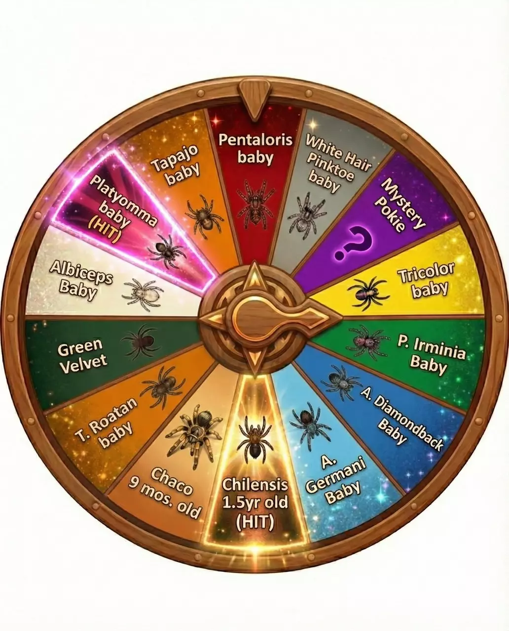 Wheel - Chilensis 🍓 thumbnail