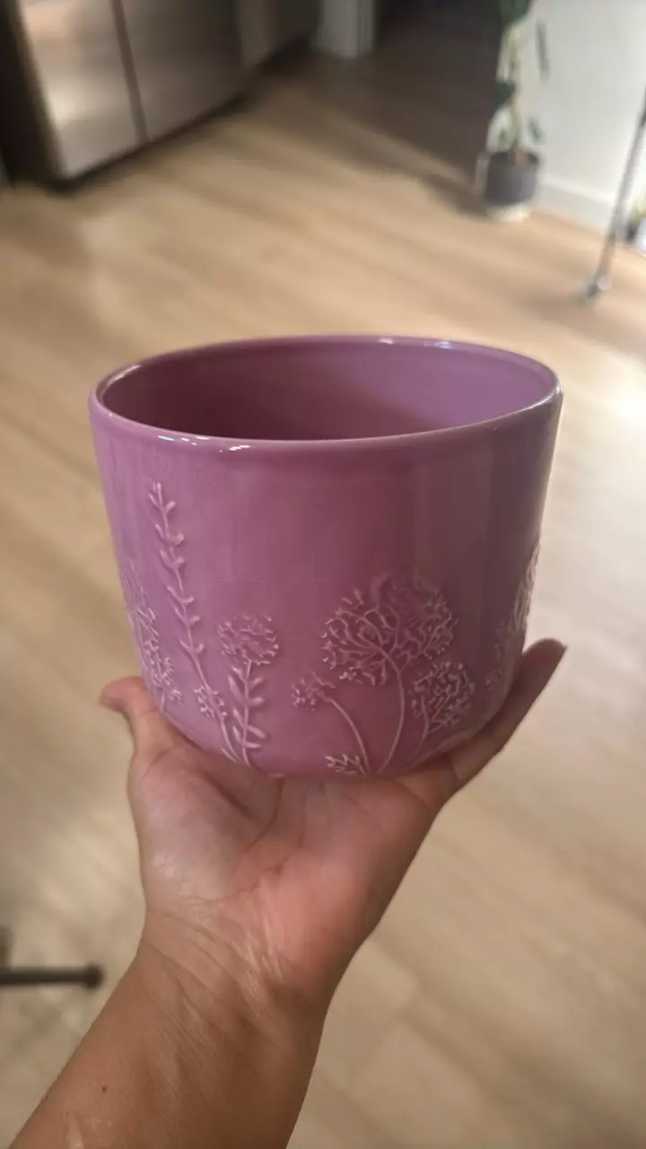 5” pot pink thumbnail