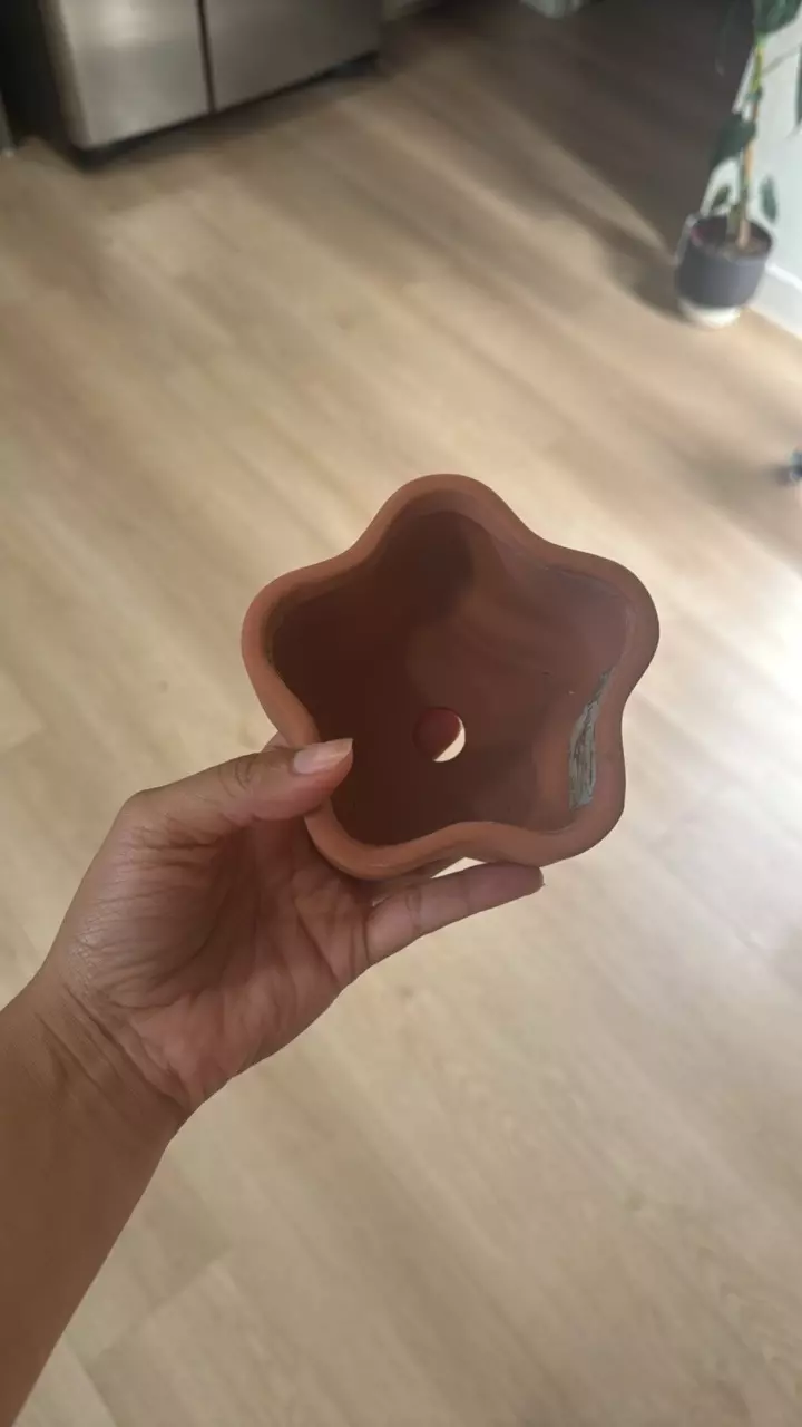 5” wide terracotta flower shape pot * no saucer thumbnail