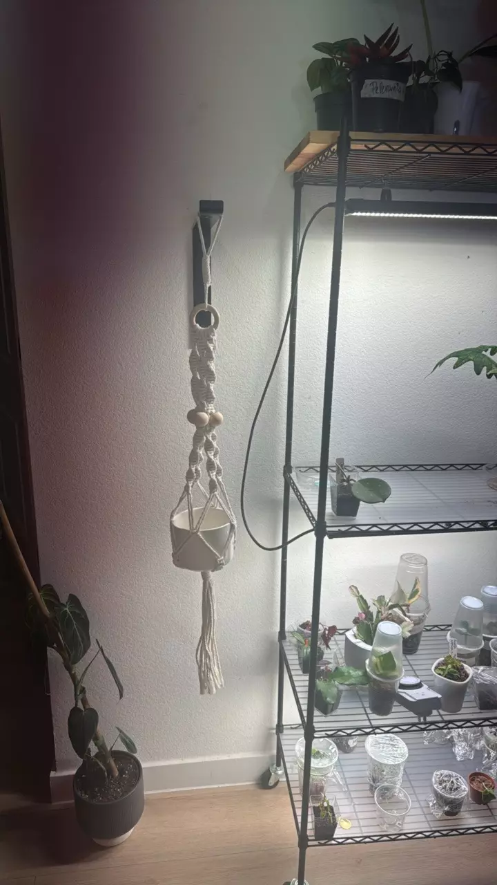 beautiful macrame hanging pot with ceramic white pot 5” pot thumbnail
