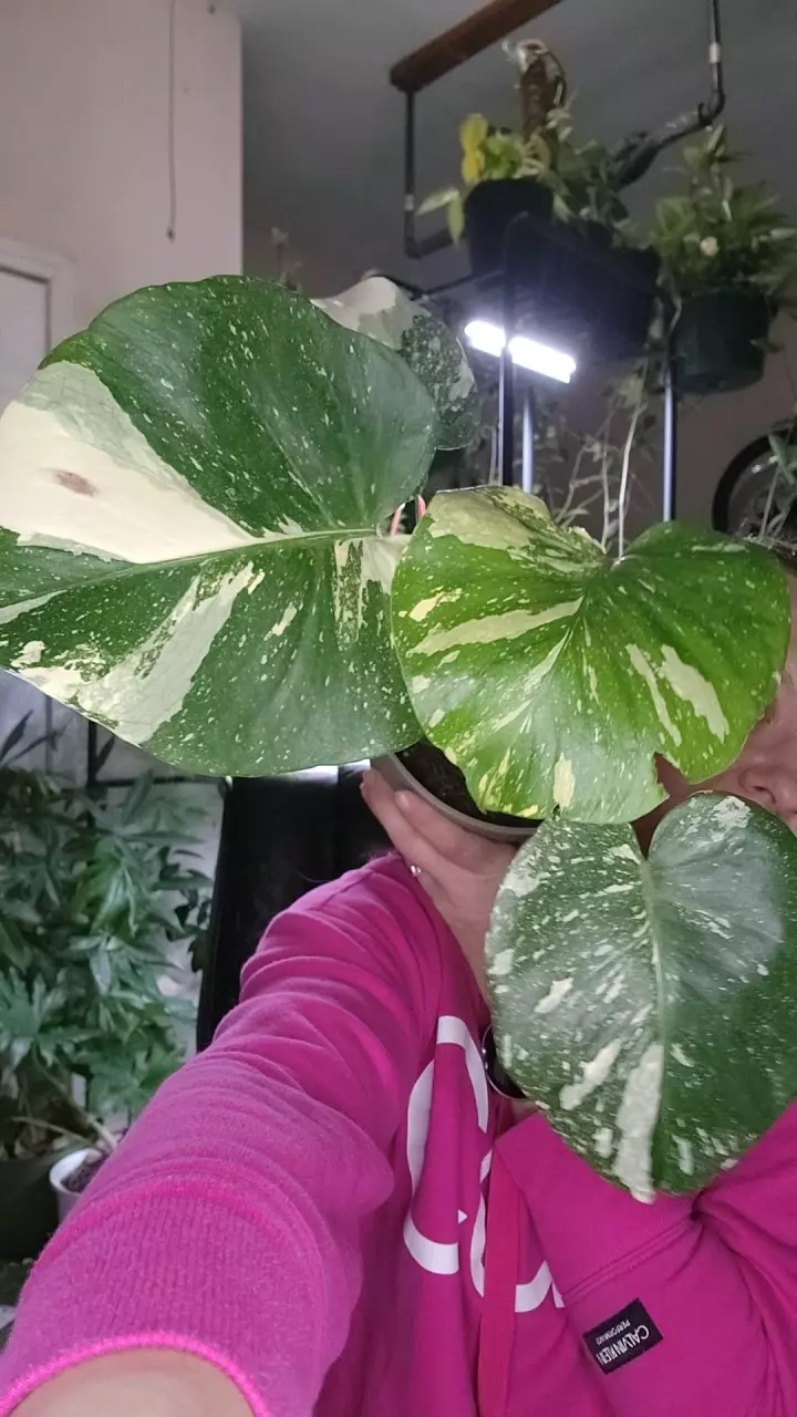 0119 thai con high color thumbnail