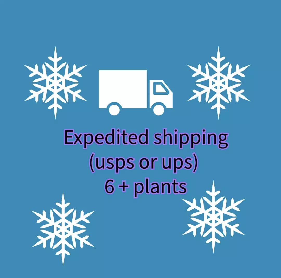 expedited shipping 6+ plants thumbnail