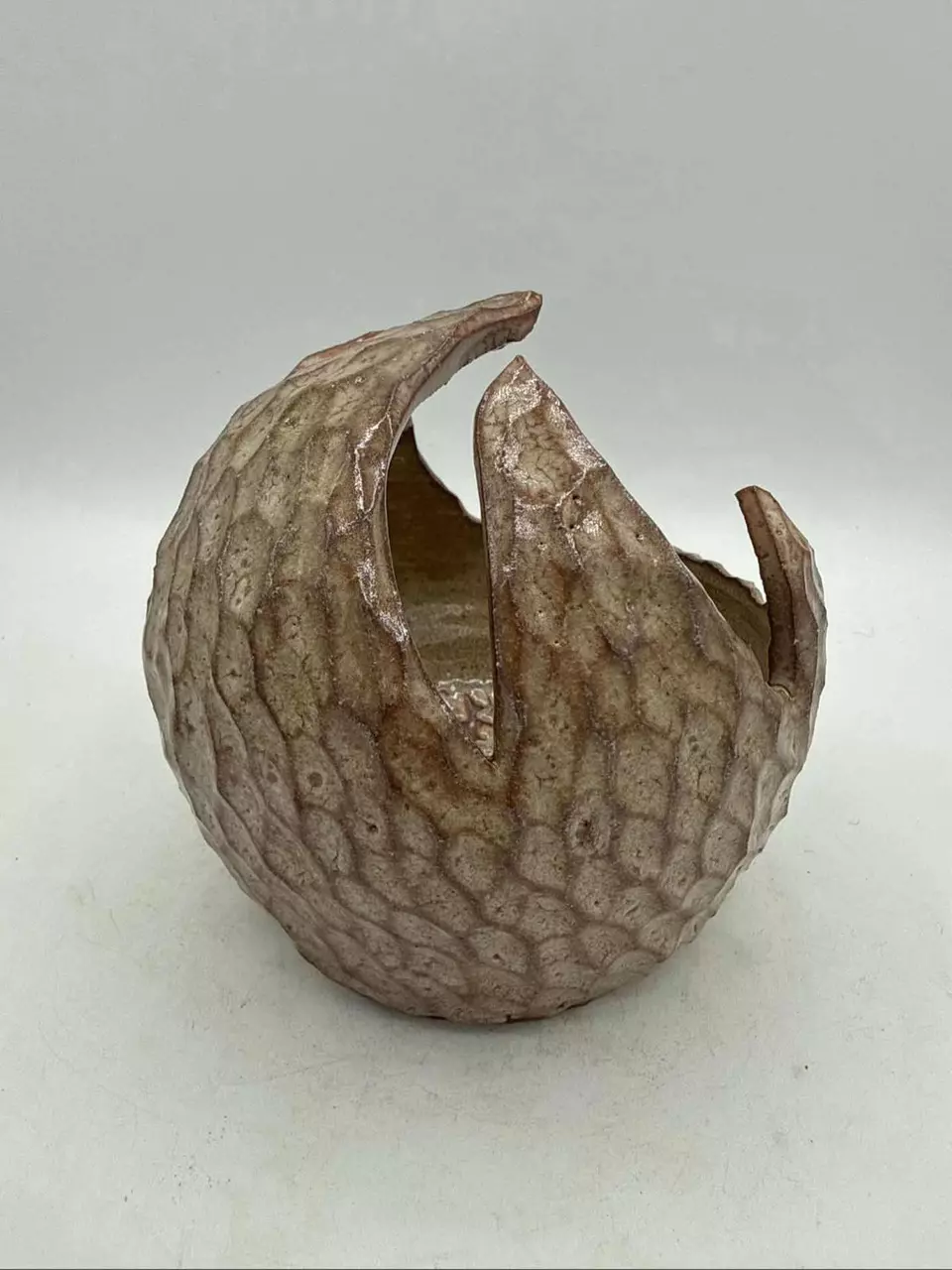 Prickly Pot # D260 (4.5x2) CSM thumbnail