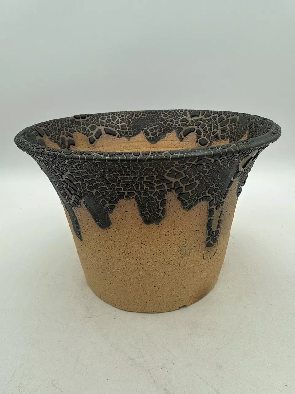 Prickly Pot # 2736 (6x4) thumbnail
