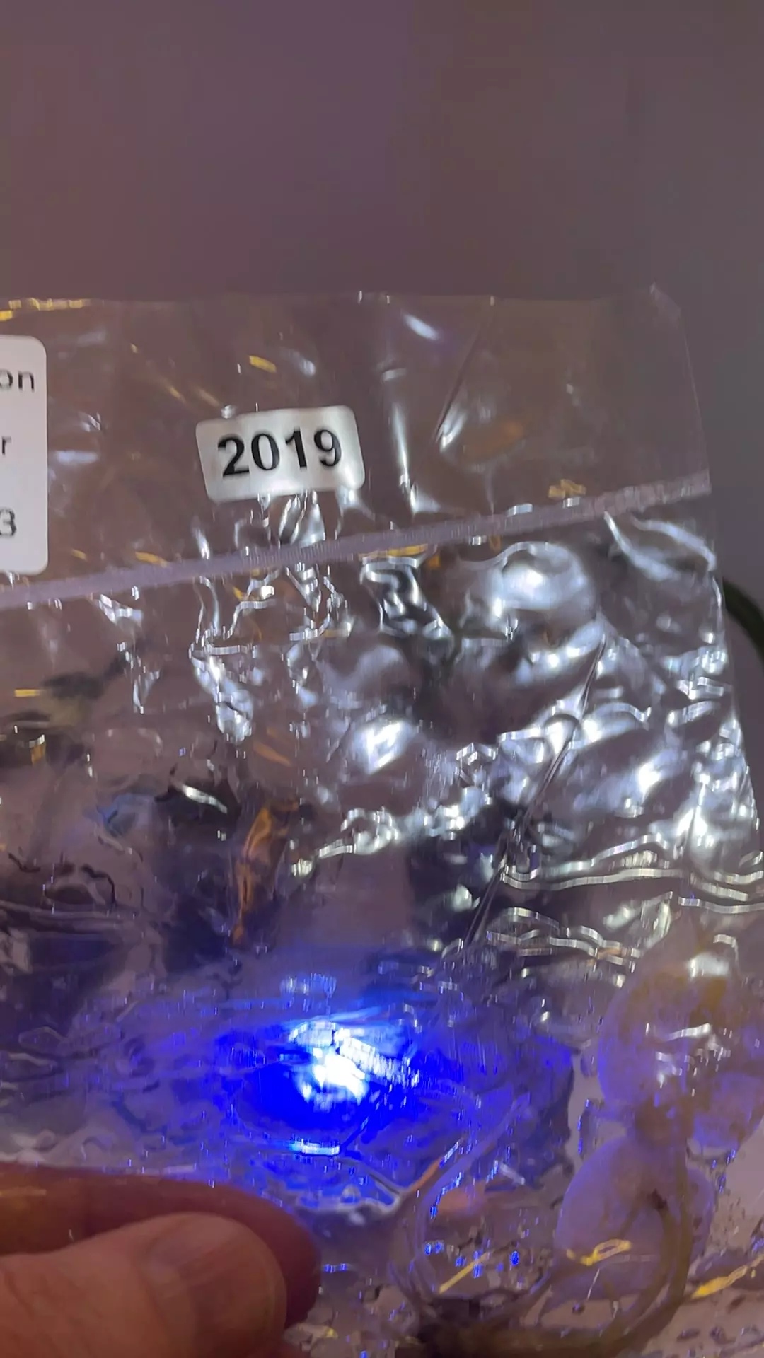 2019 healthy rehab 💕 dsm thumbnail