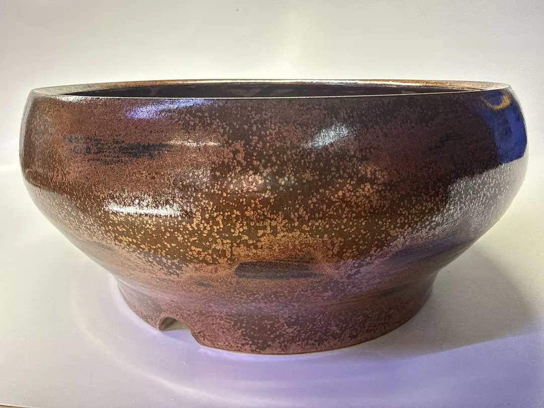 Prickly Pot # 2688 (9.5x4) thumbnail