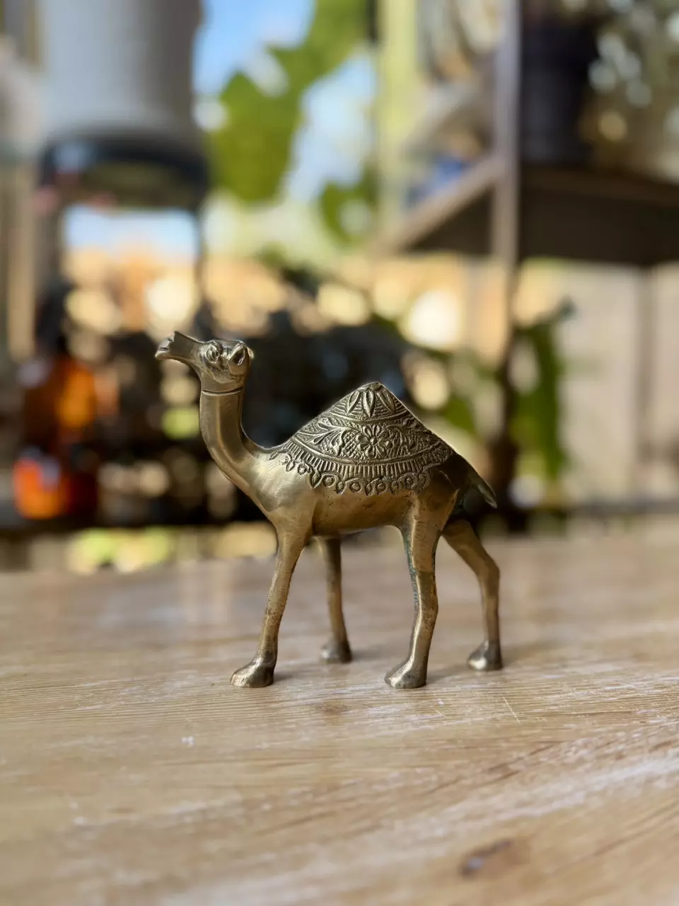 Brass camel thumbnail