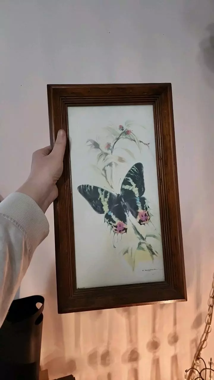 Framed Butterfly Print 10" x 18" thumbnail