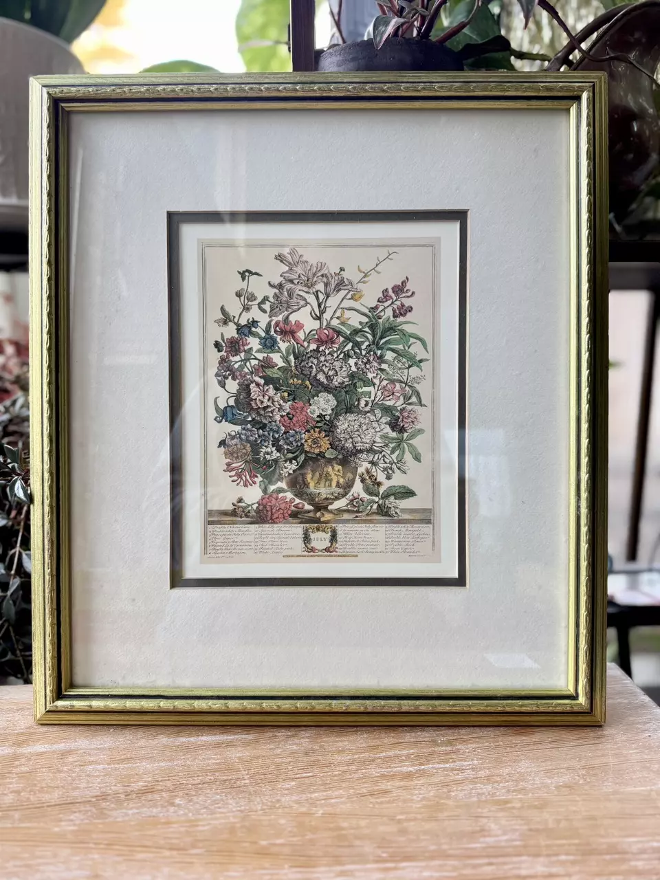 “July” - Robert Furber’s 12 Months of Flowers thumbnail
