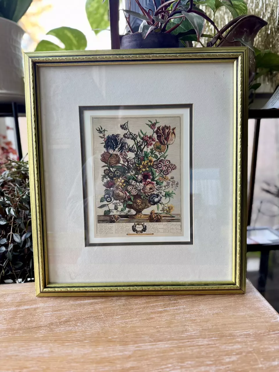 “April” - Robert Furber’s 12 Months of Flowers thumbnail