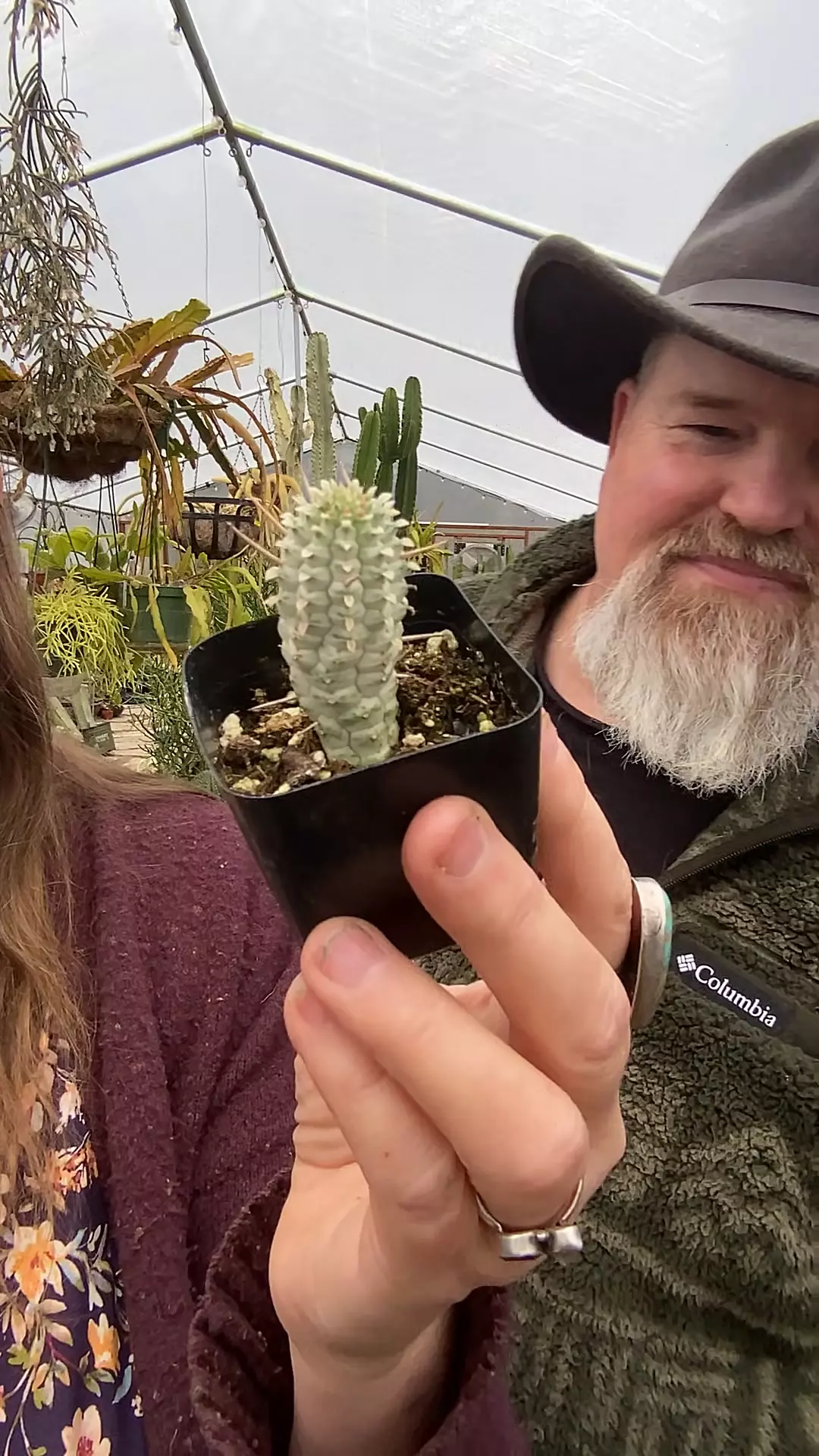 Euphorbia Corncob 2” thumbnail