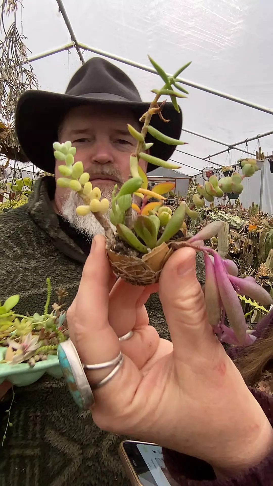 Egg fairy pots thumbnail