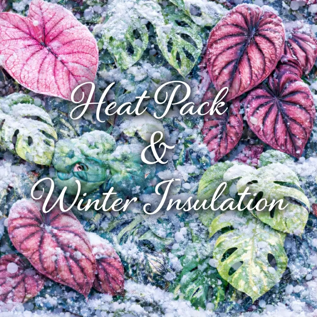 Combo Deal thumbnail