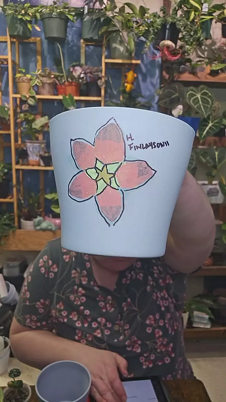 painted pot Hoya thumbnail