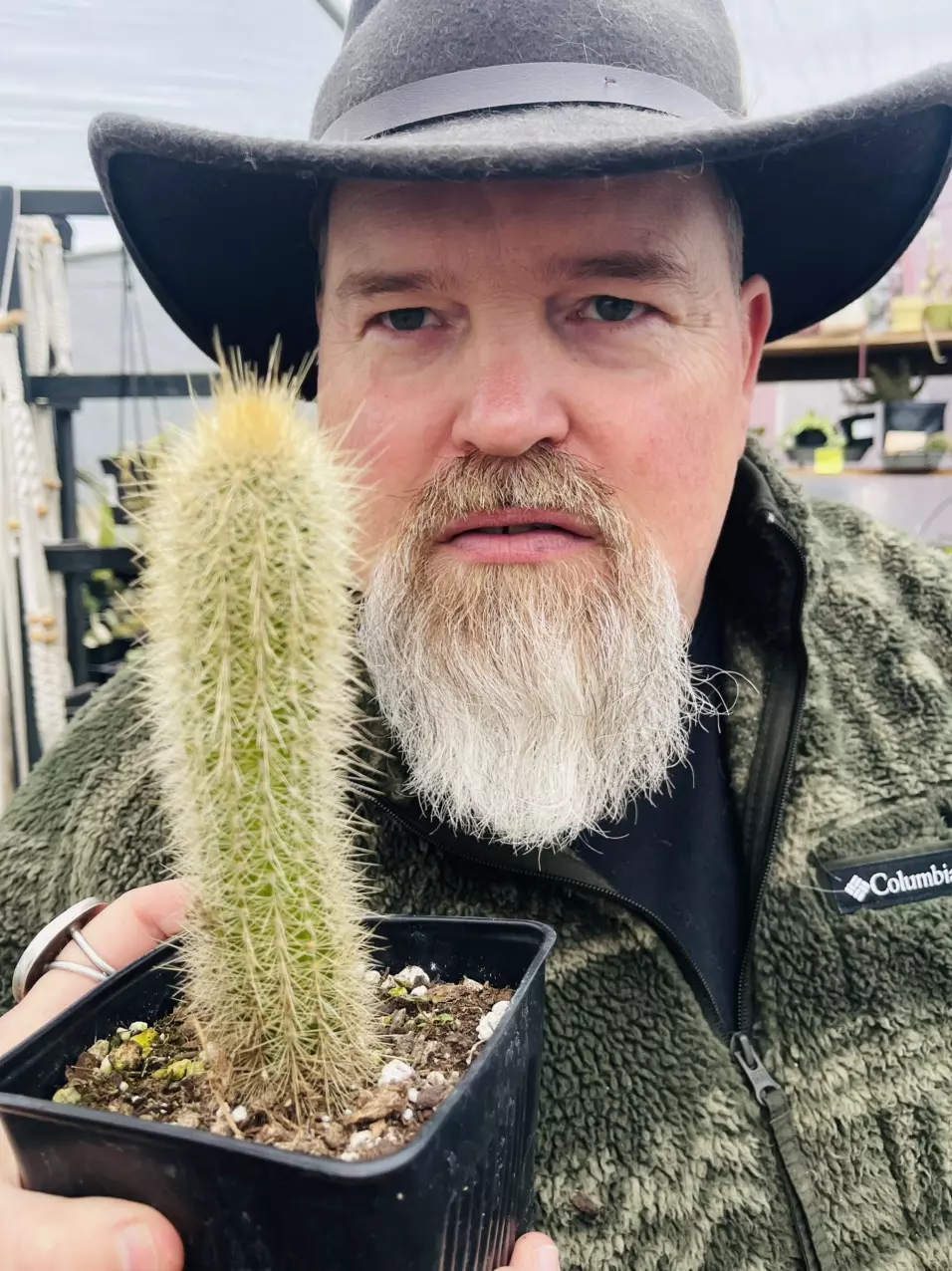 Cleisto Cactus _? 5” thumbnail