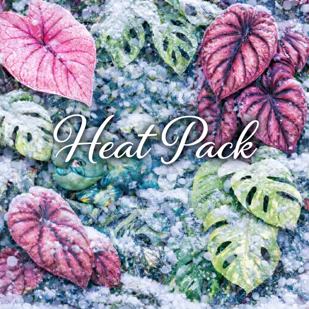 Heat Pack thumbnail