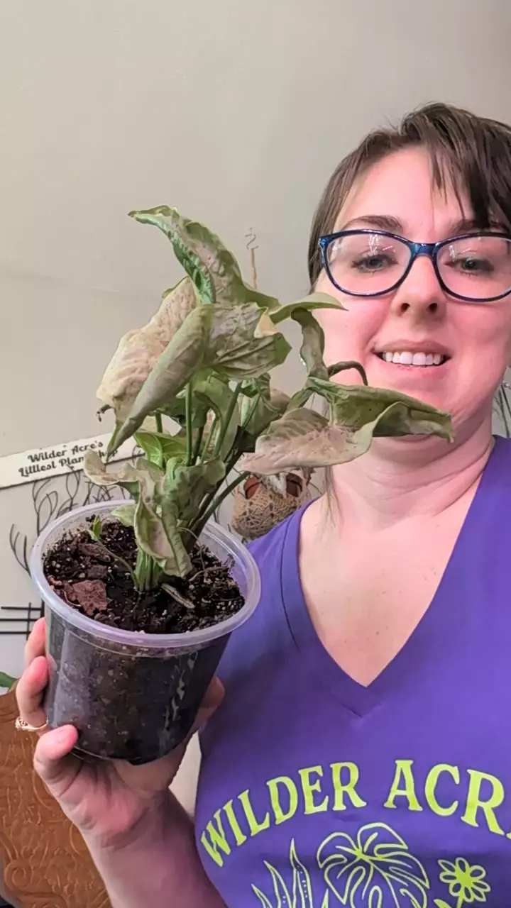 large milk confetti thumbnail