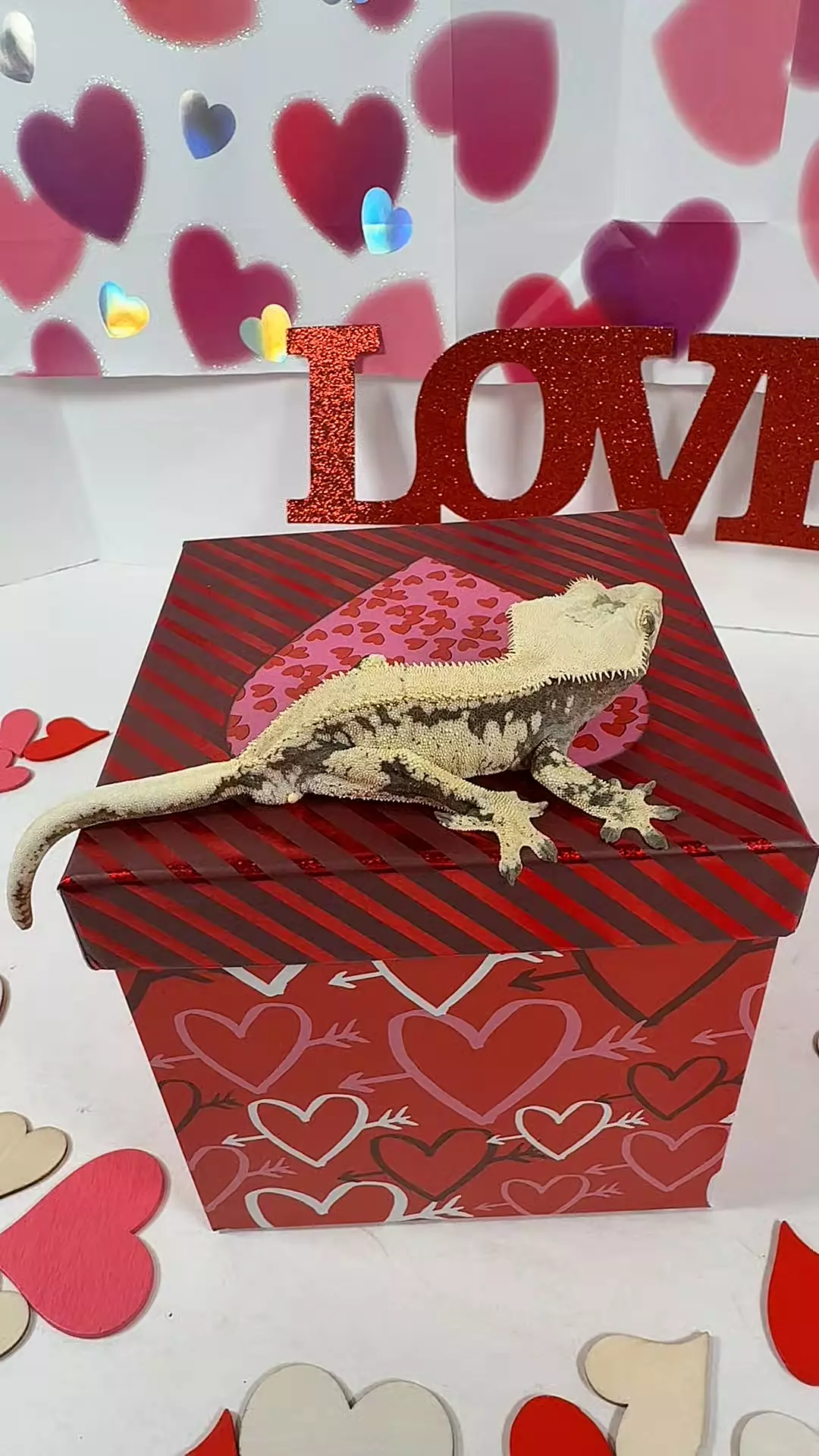 male 28g, 24ZekLor0628 thumbnail