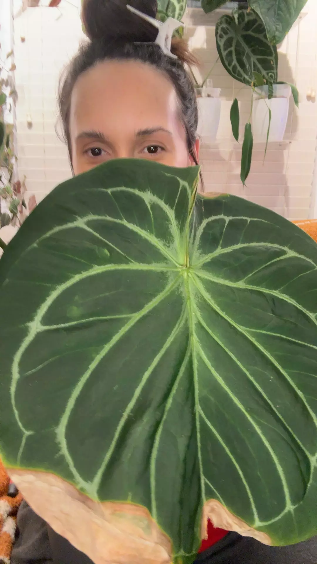 HUGE KOS mama thumbnail