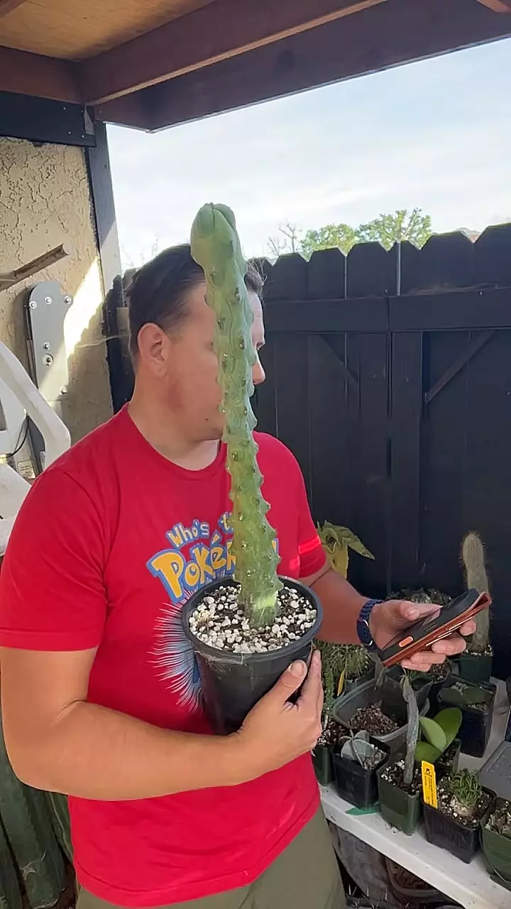 20” Rooted Boobie thumbnail