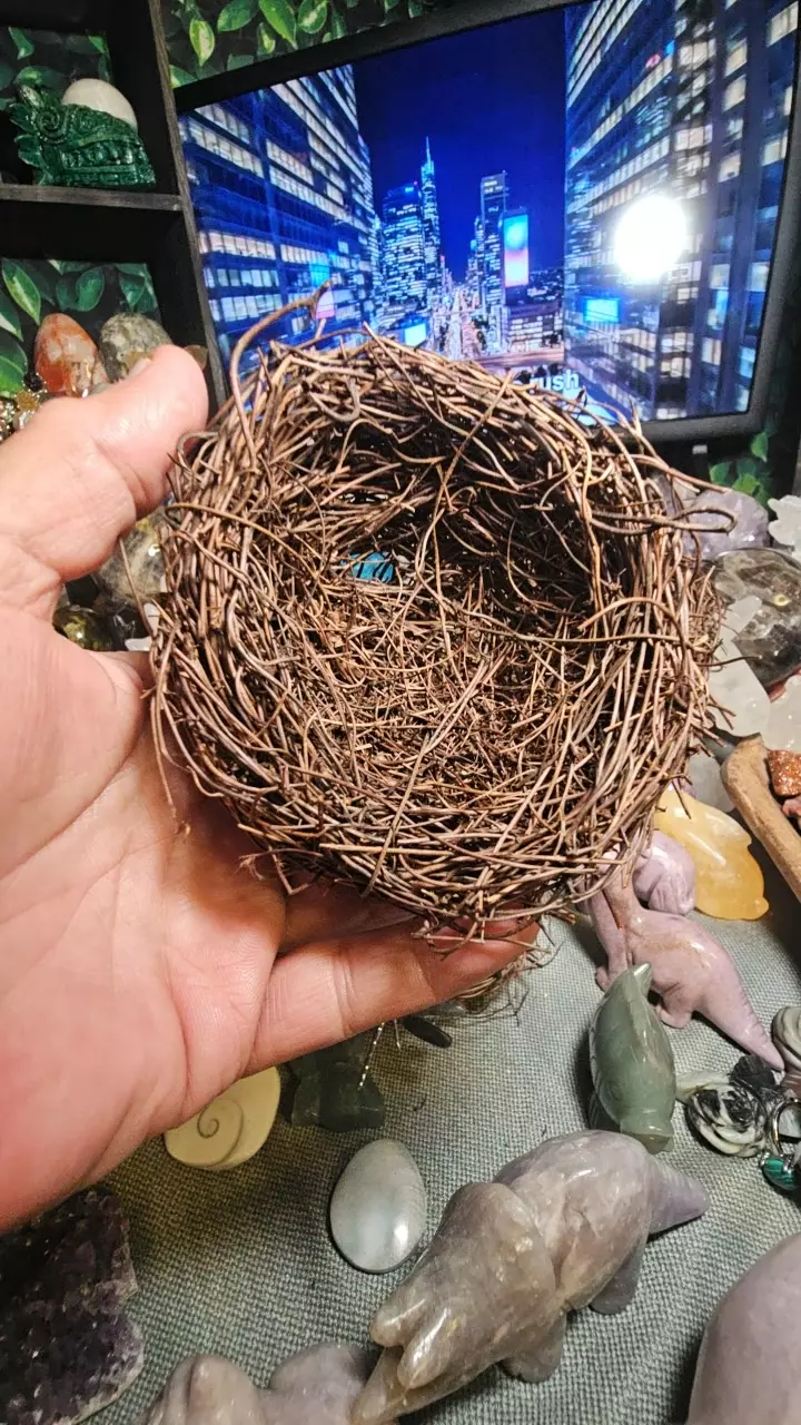 Nest 4 inch thumbnail