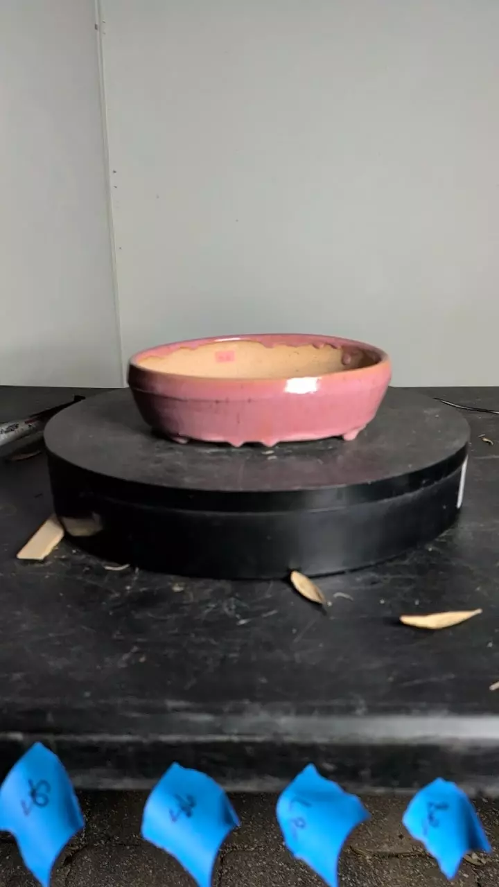 #82 pot 9" wide thumbnail