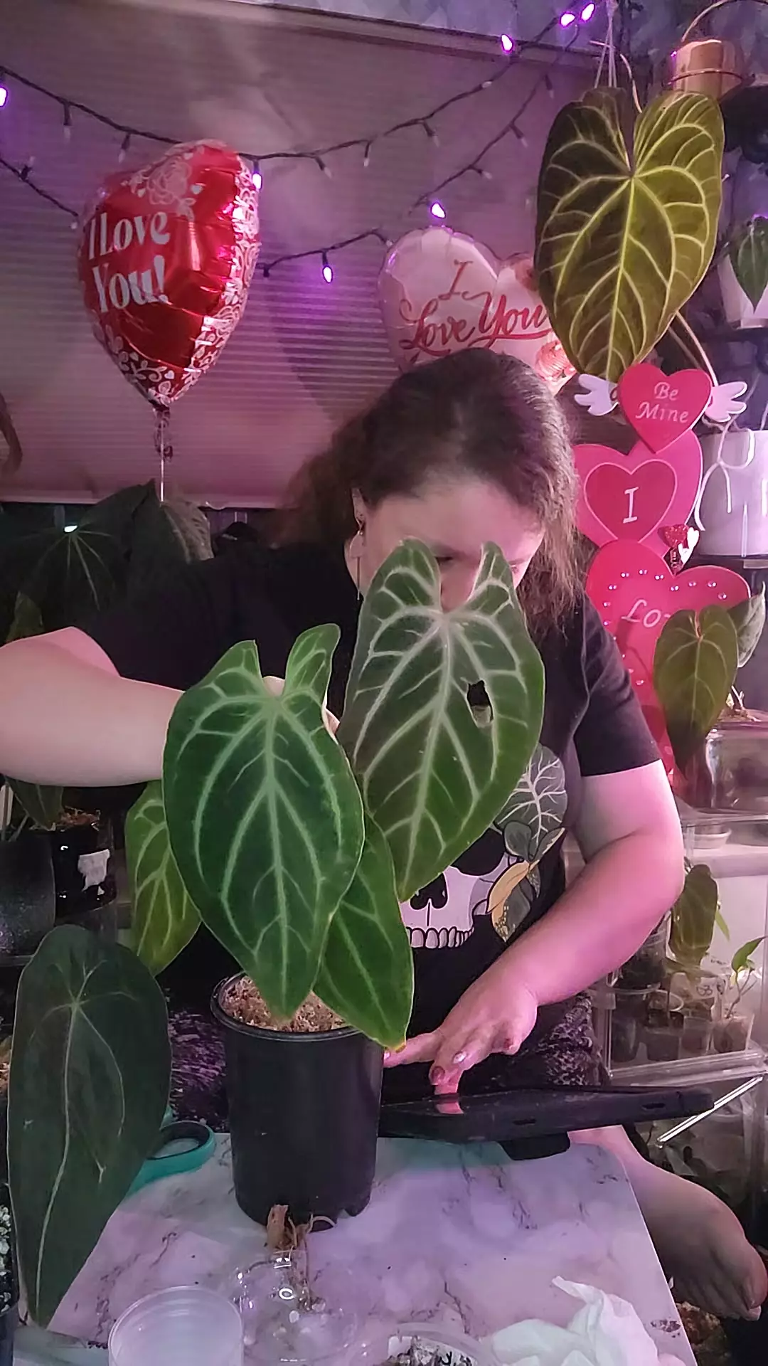 Super rare find "Electric Bess" 0313 thumbnail