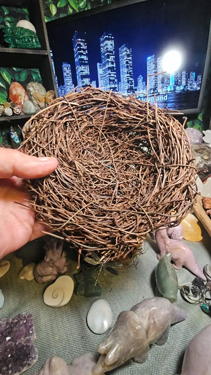 Nest 6 inch thumbnail