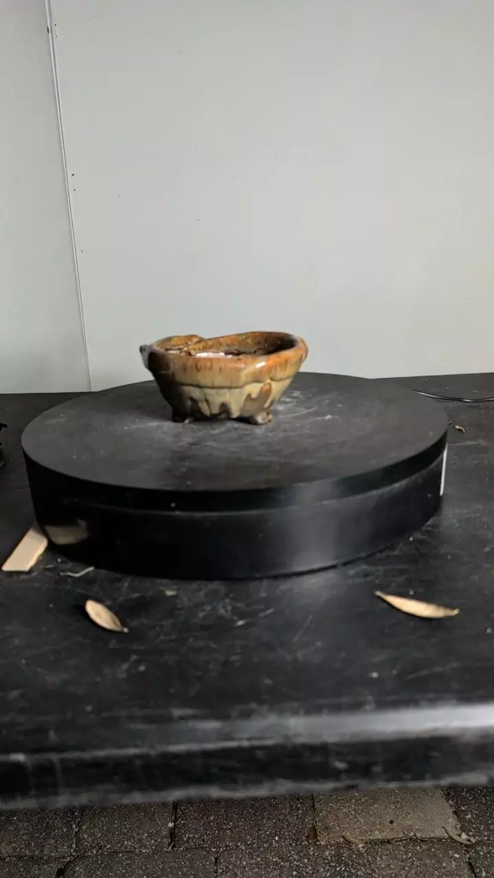 #91 pot 6" wide thumbnail