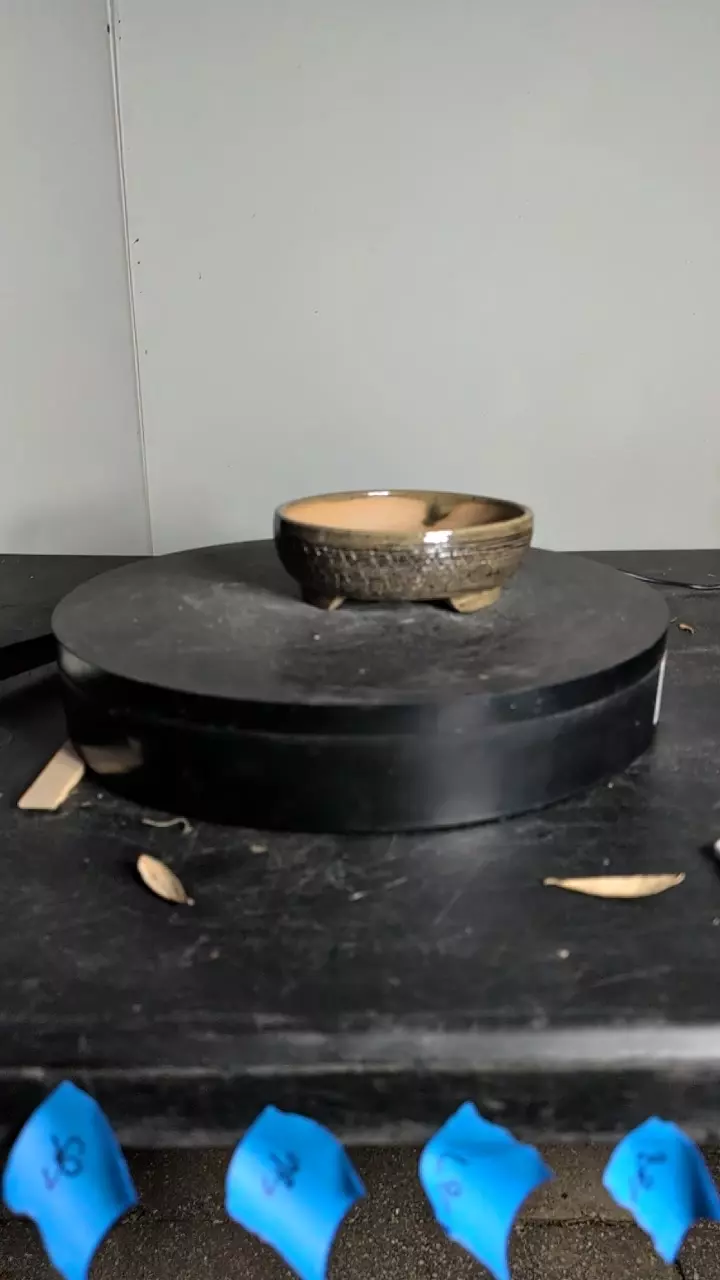 #85 pot 6.75" wide thumbnail